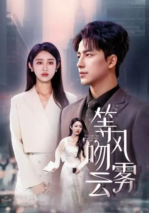 回声档案馆 热播电视剧全集在线观看